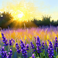 Sunset Over Lavender Fields thumbnail 2