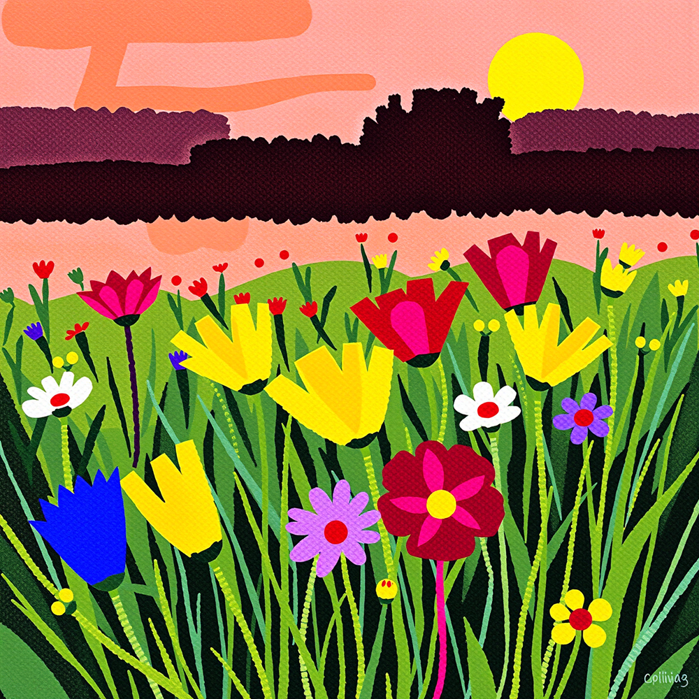 Dawn Over the Wildflowers view 2