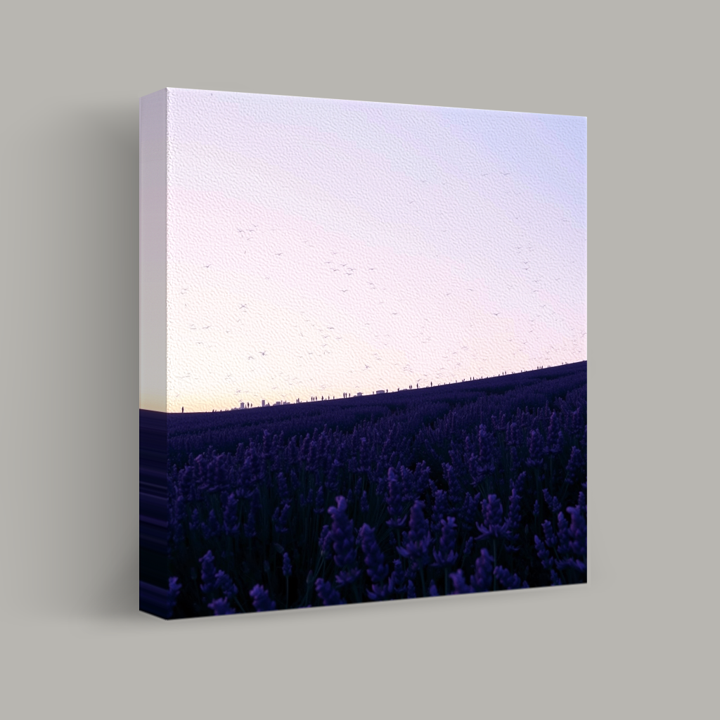 Lavender Horizon view 1