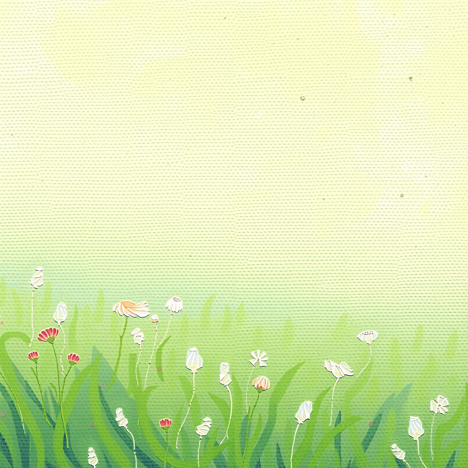 Blossoms in Morning Light view 2