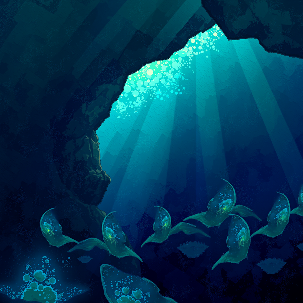 Beneath the Ocean's Veil view 2