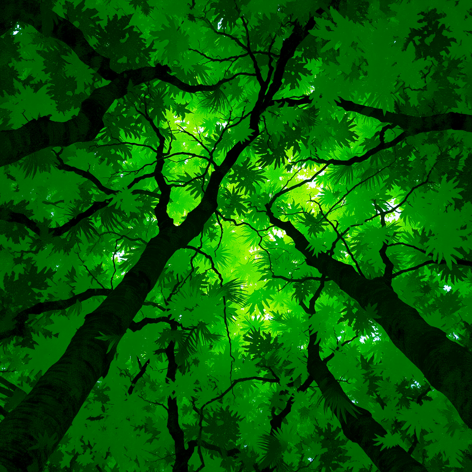 Canopy of Vibrant Dreams view 2