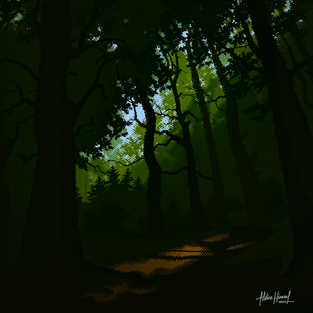 Shadows of the Forest Path view 2
