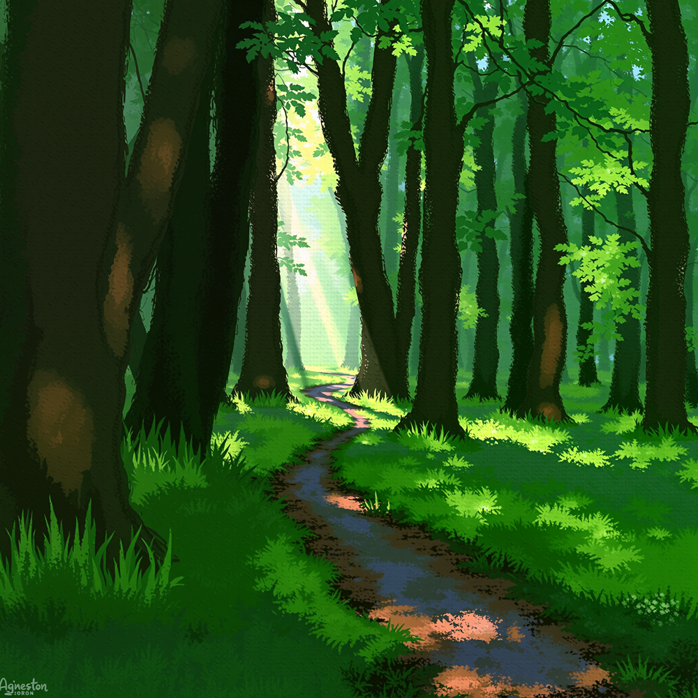 Pathway Through the Woodland view 2