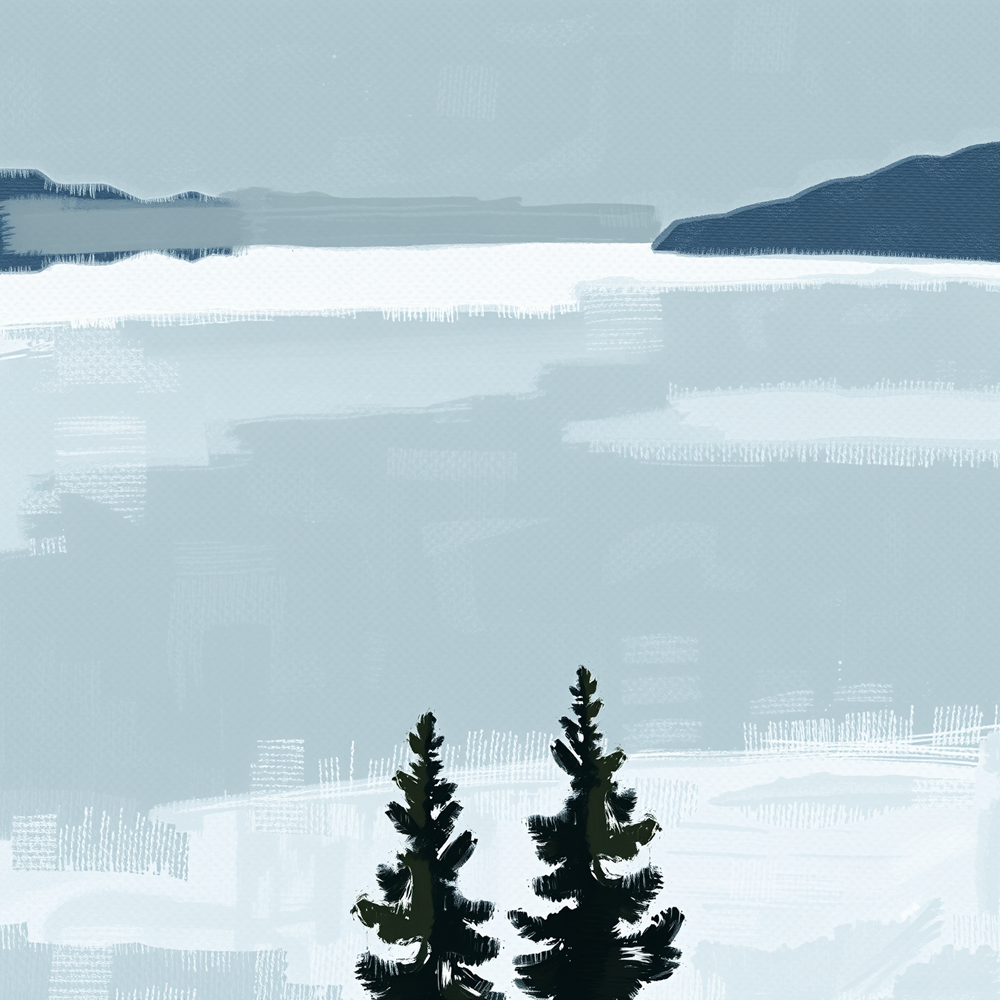 Winter's Quiet Embrace view 2