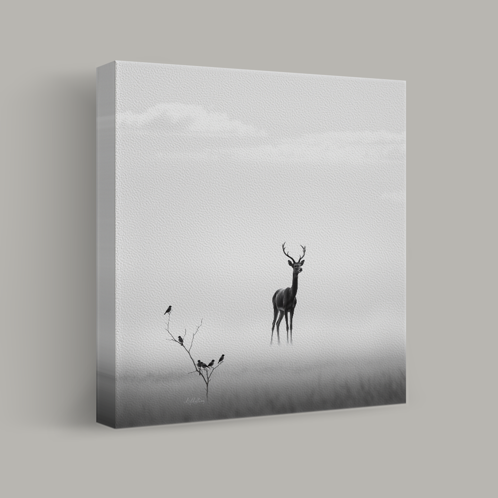 Silent Encounter view 1