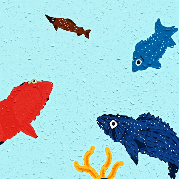 Colorful Below the Surface