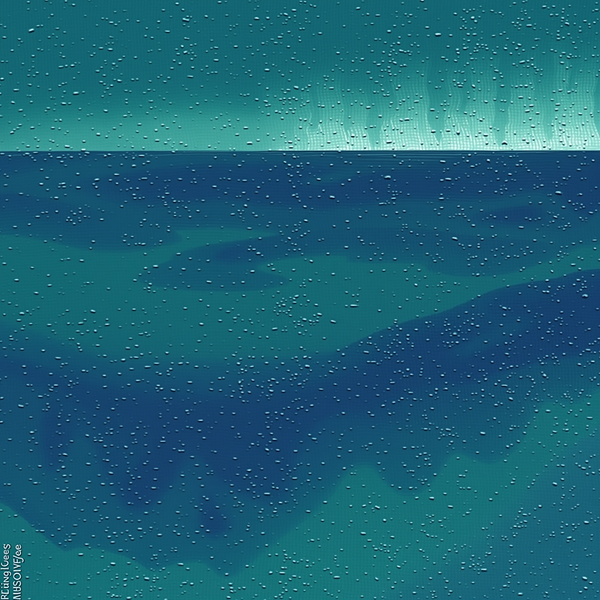 Glimpse of the Cosmic Sea