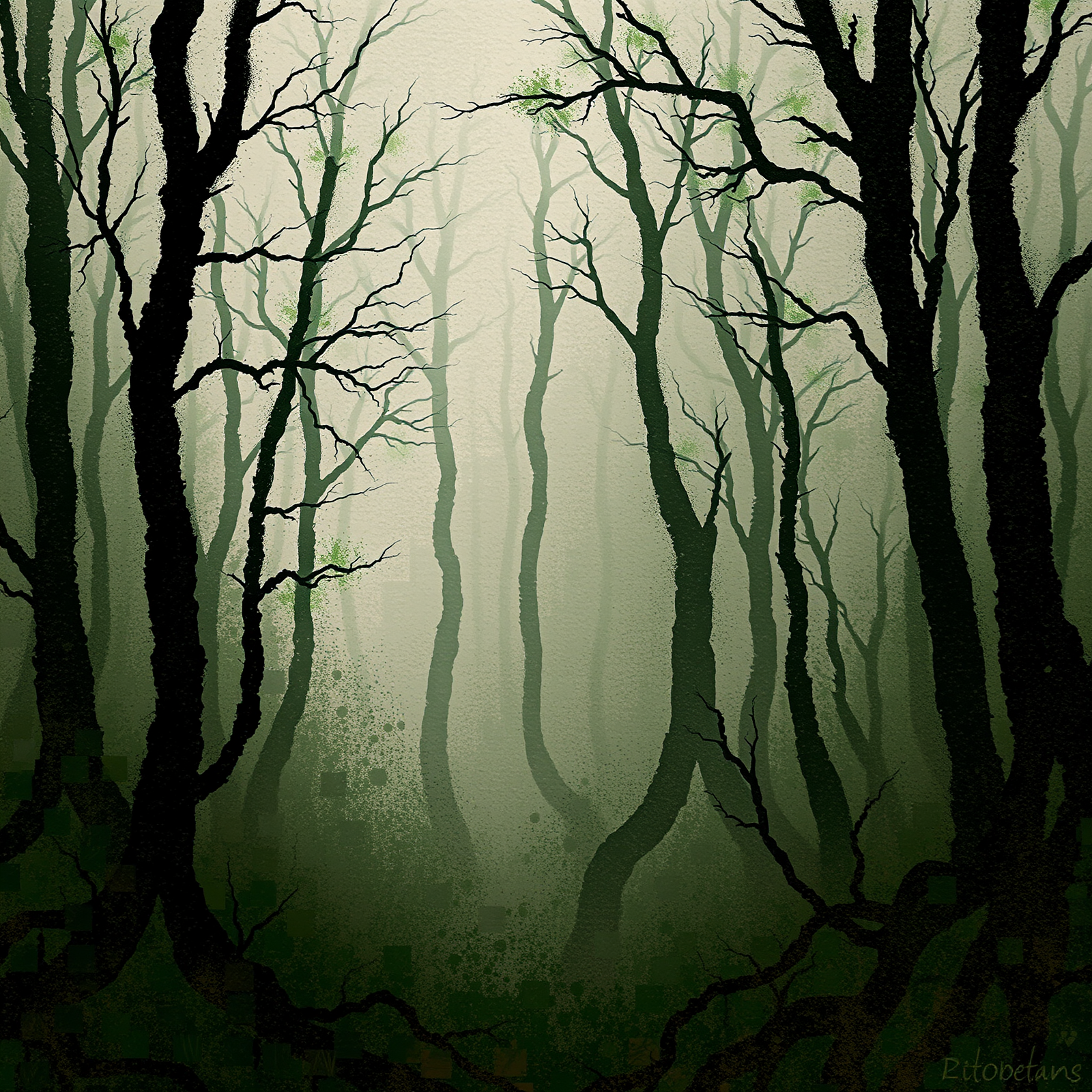 Shadows of the Enchanted Forest view 2