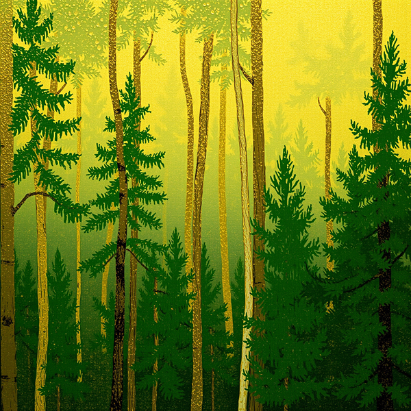 Whispering Pines at Dawn