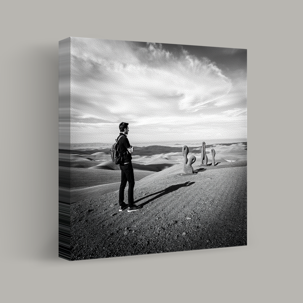 Encounter on the Dunes view 1