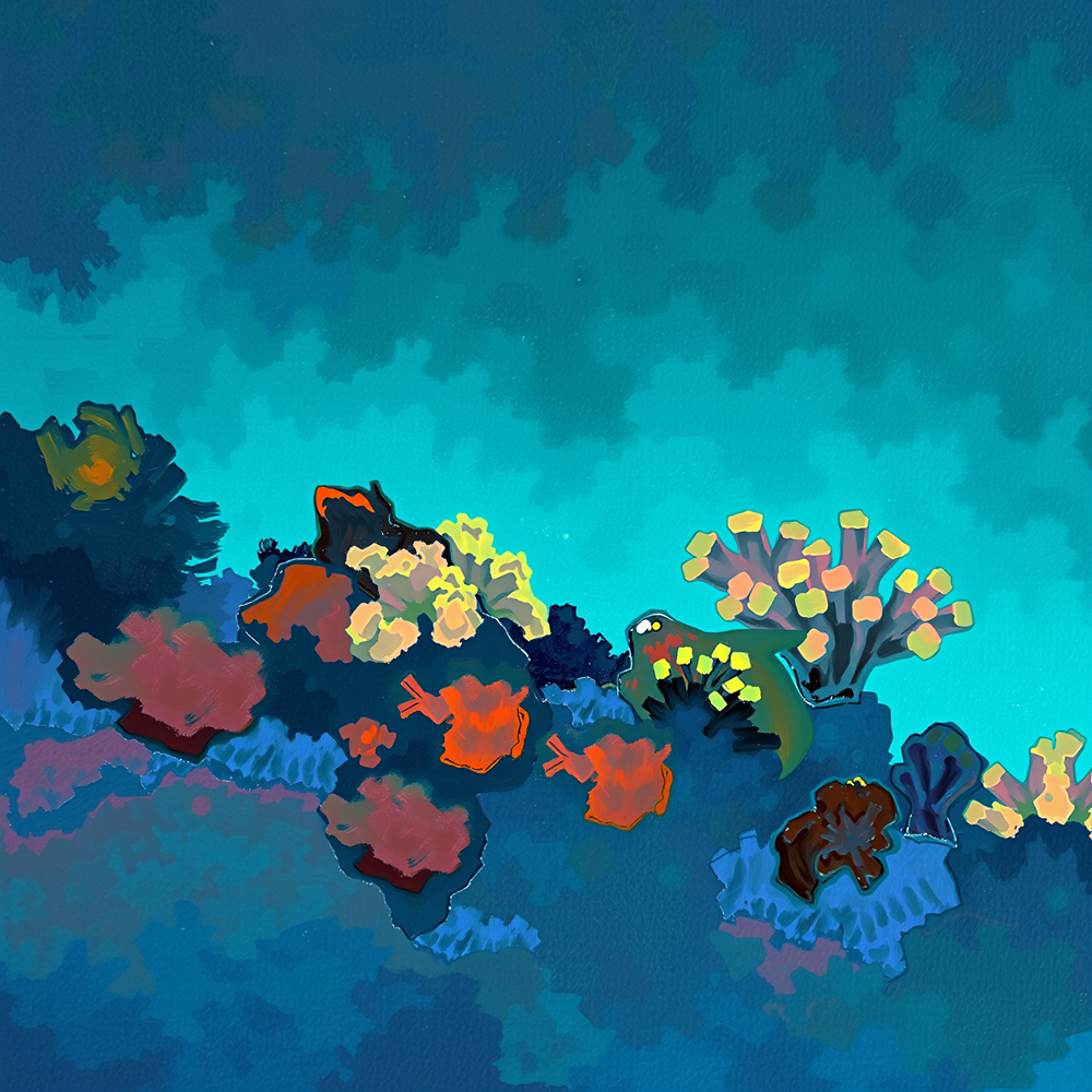 Beneath the Ocean Veil view 2