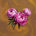 Peonies on Swirling Background thumbnail 2