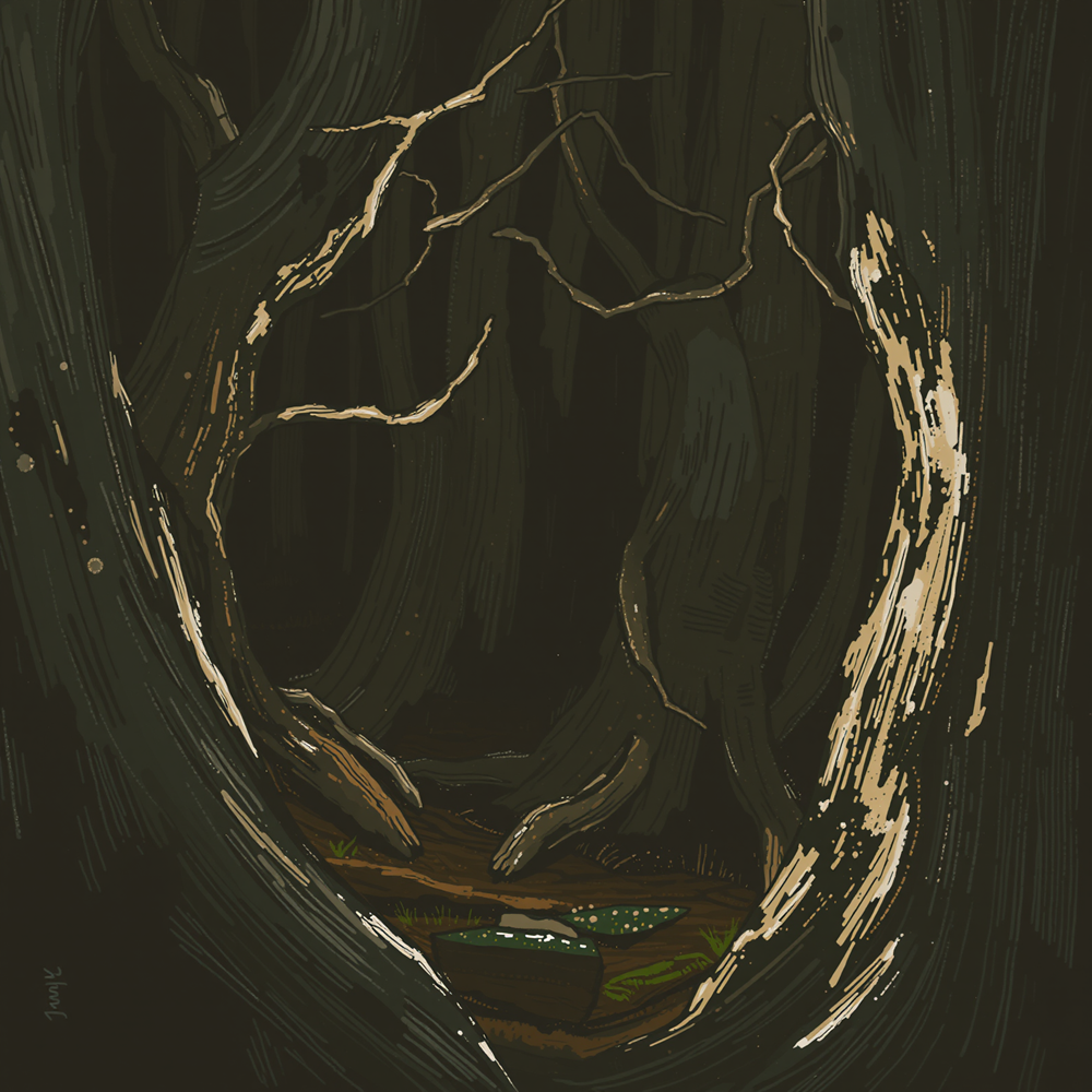 Enchanted Forest Clearing view 2