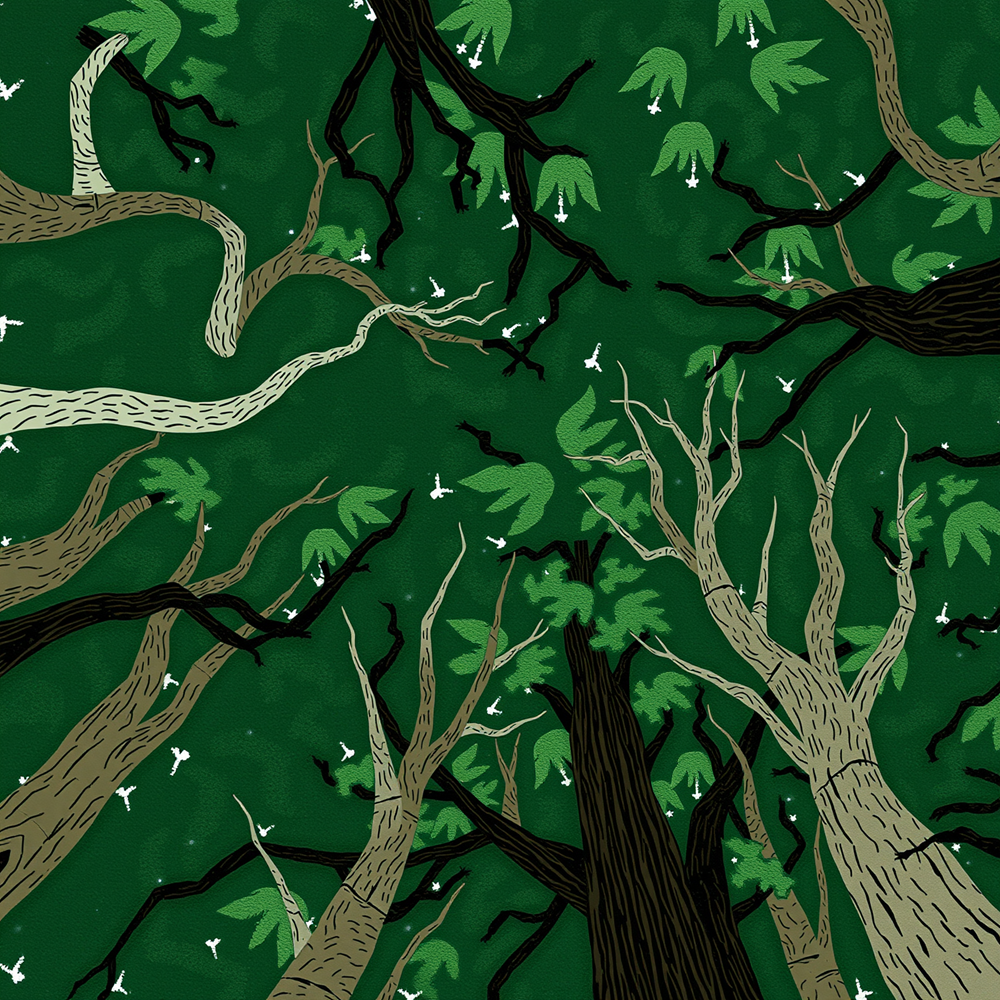 Whispering Canopy view 2