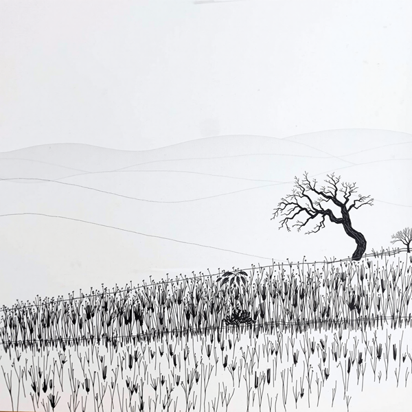 Contours of Solitude