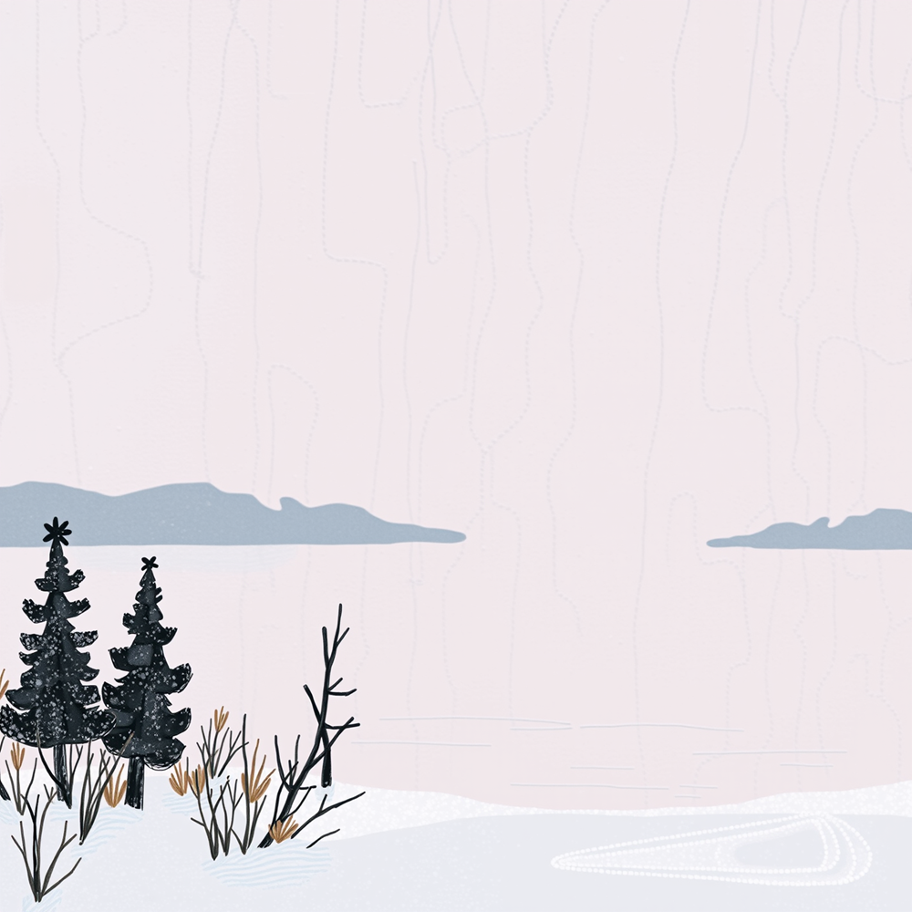 Winter's Quiet Canvas view 2