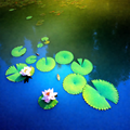 Serenity on the Lilypad Pond thumbnail 2