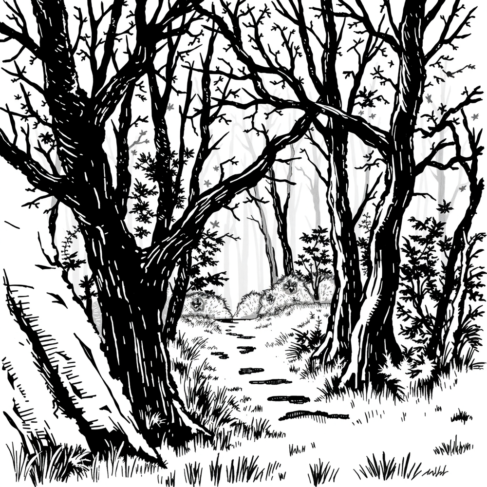 Silent Passage view 2