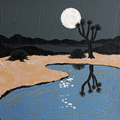 Moonlit Desert Reflection thumbnail 2