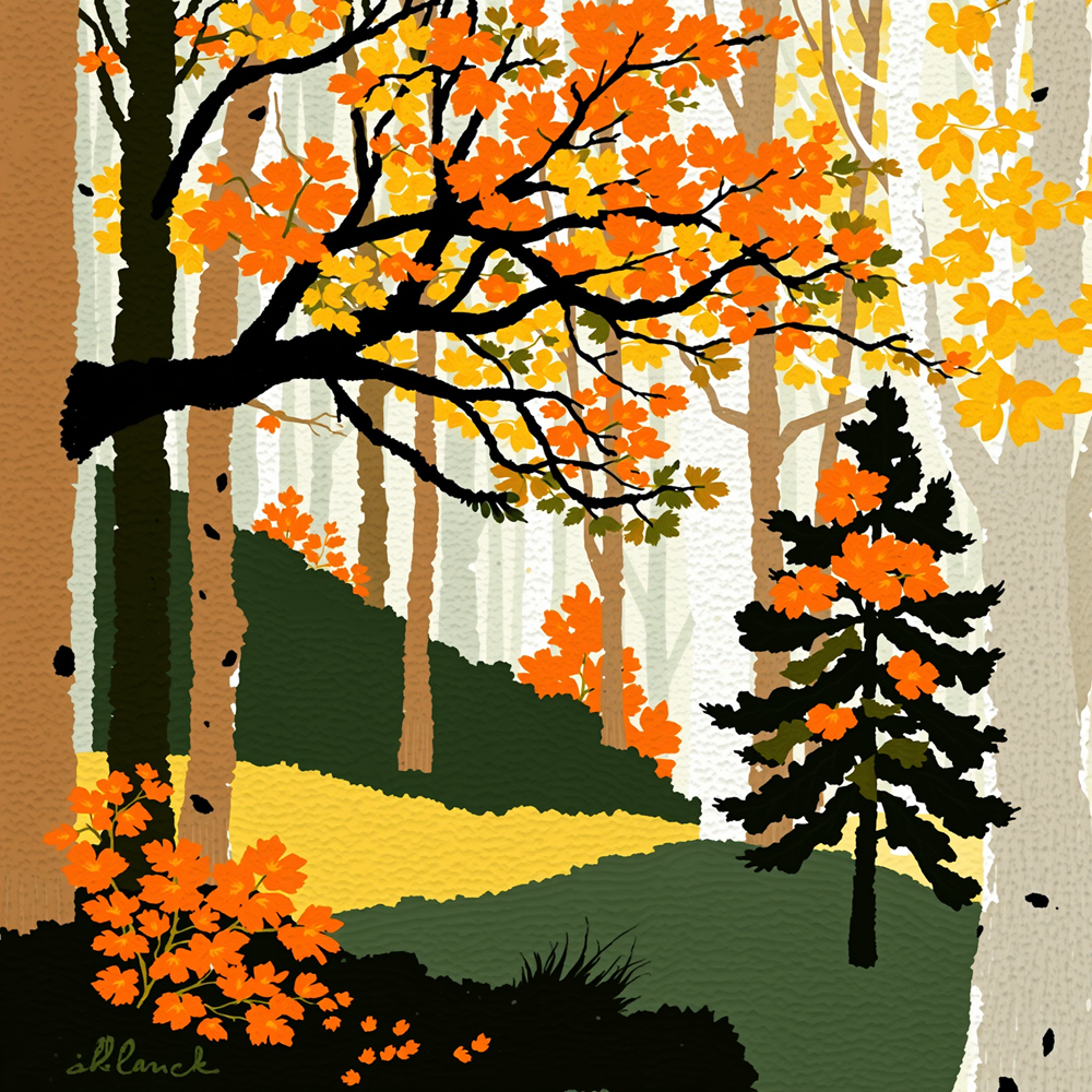 Autumn's Embrace in the Forest Grove view 2