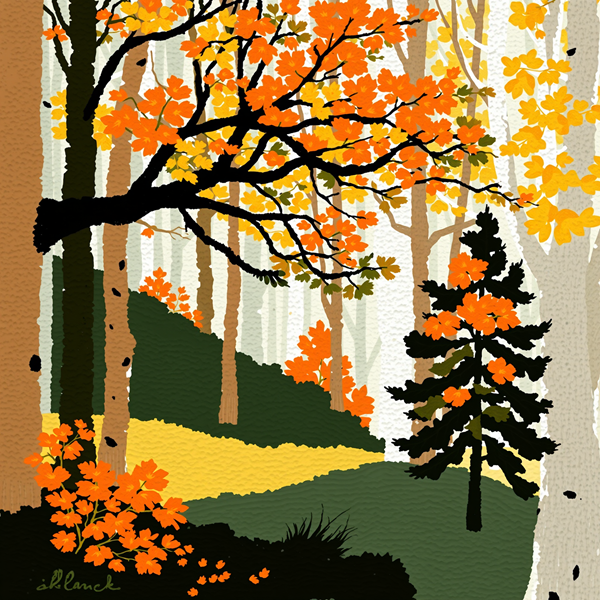 Autumn's Embrace in the Forest Grove