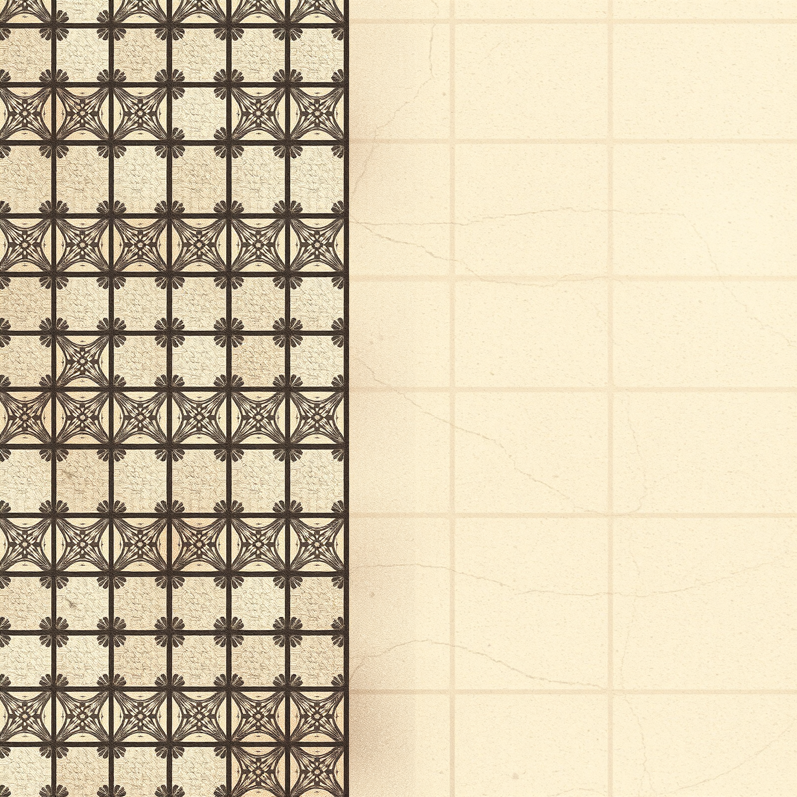 Whispers of Symmetry view 2