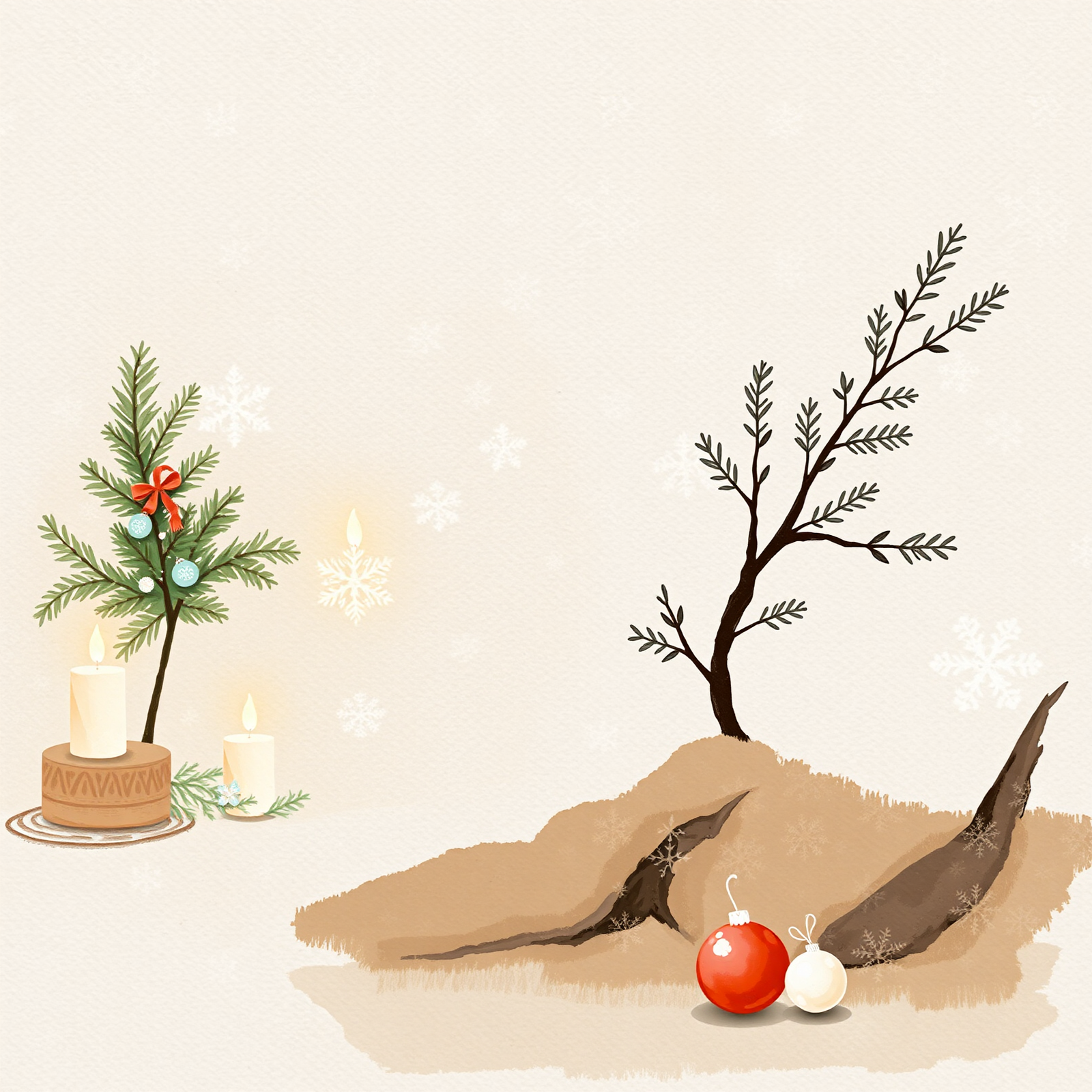 Between Light and Bough view 2