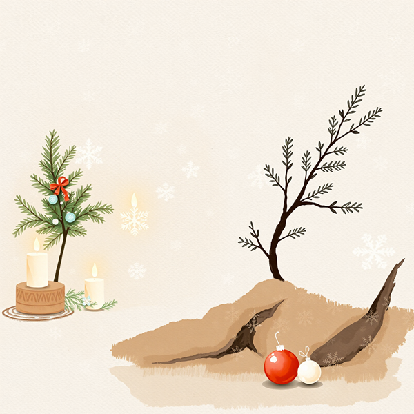 Between Light and Bough