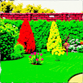 Vibrant Garden Symphony thumbnail 2