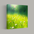 Sunlit Meadow Symphony thumbnail 1