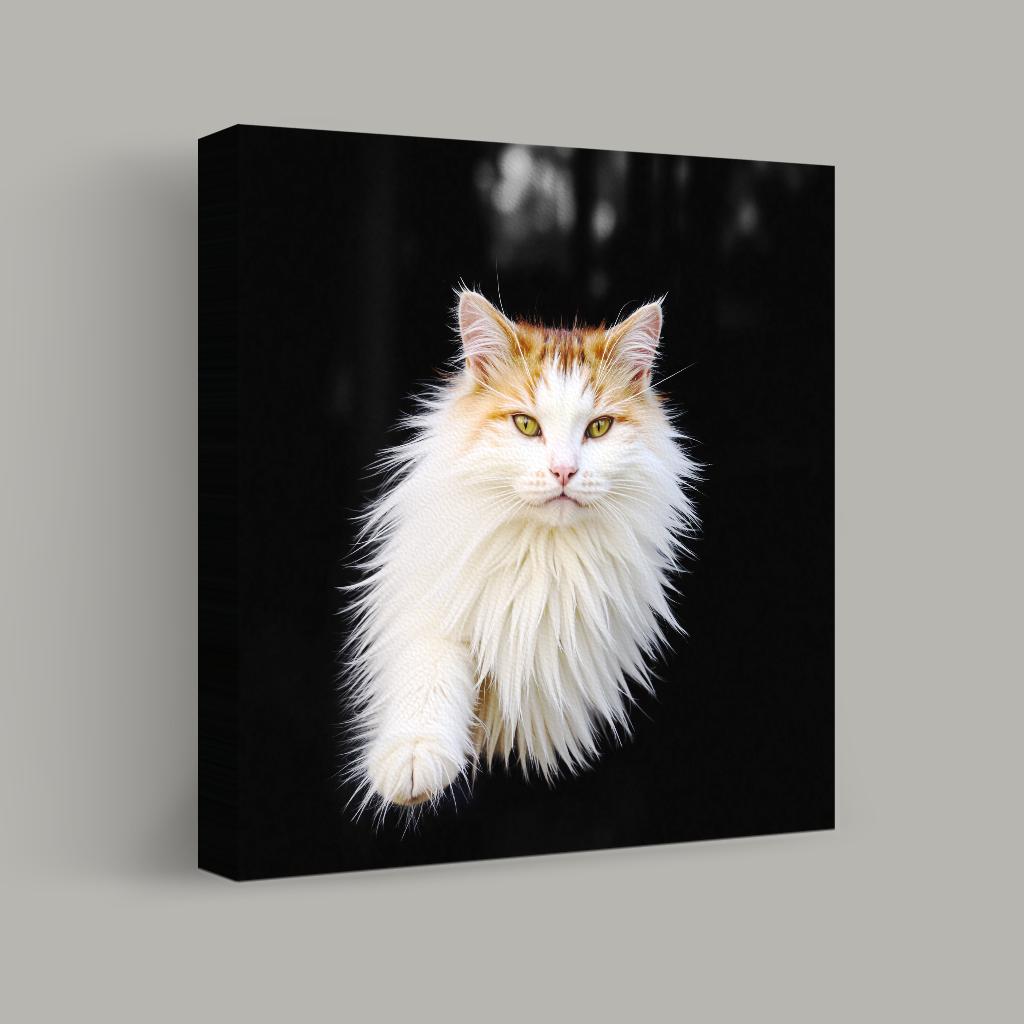 Defiant Silence view 1