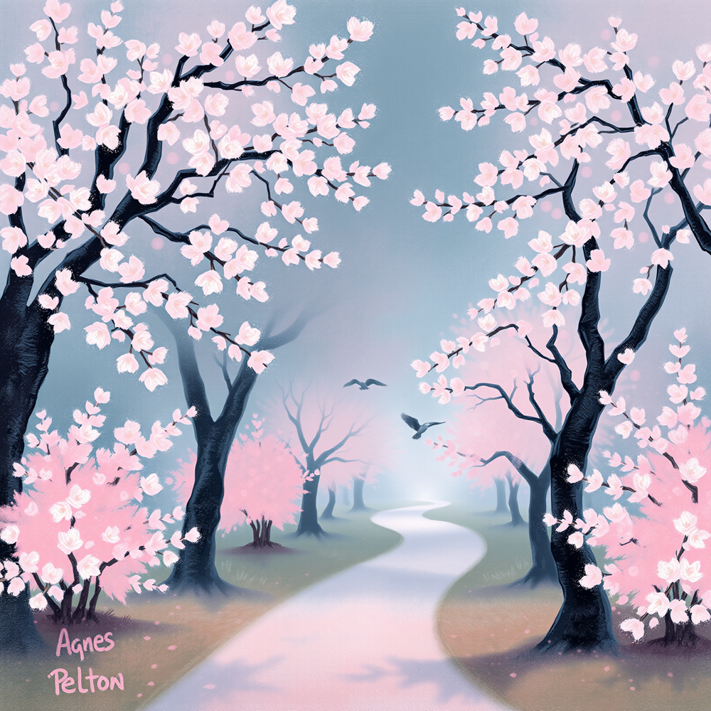 Pathway Through Blossoms view 2