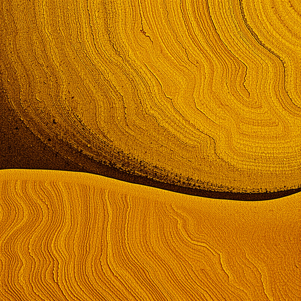 Ripples of Golden Sands