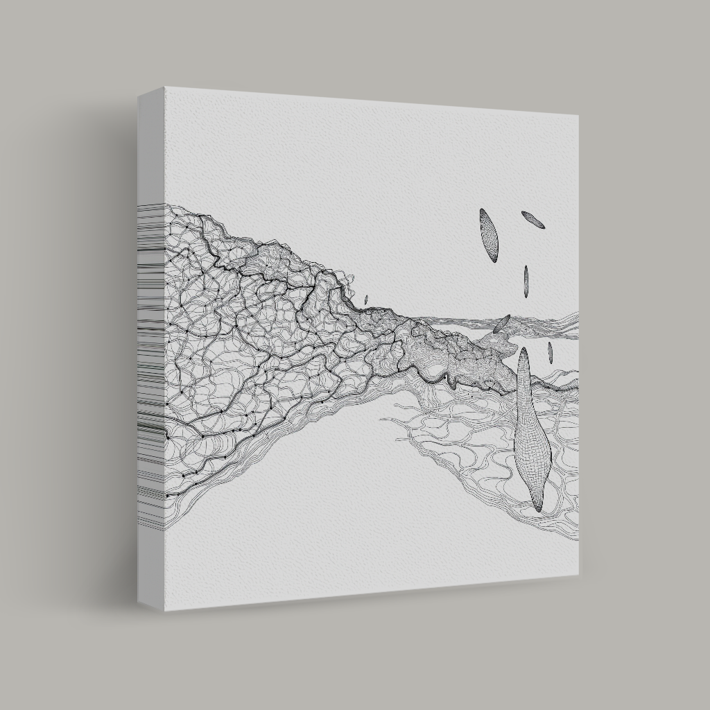 Contours of Descent view 1