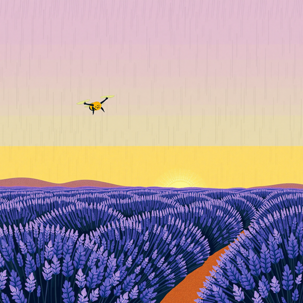 Harmony in the Lavender Sky