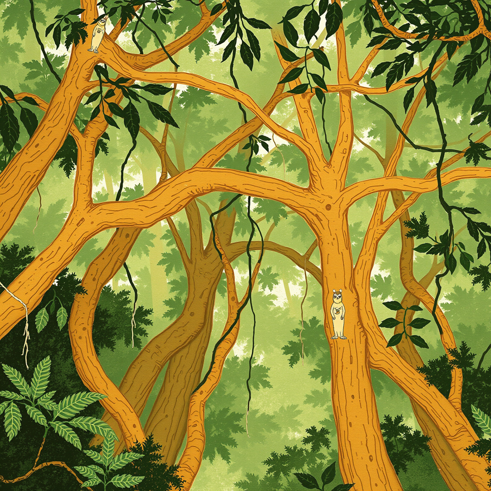 Guardians of the Canopy view 2