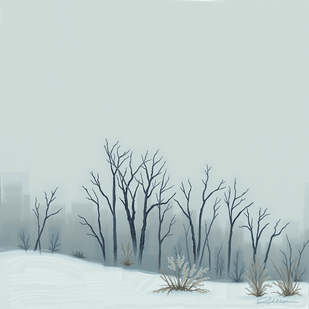 Whisper of the Winter Woods view 2