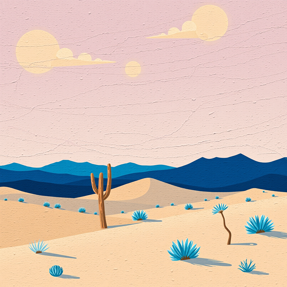 Desert Silence at Dusk view 2