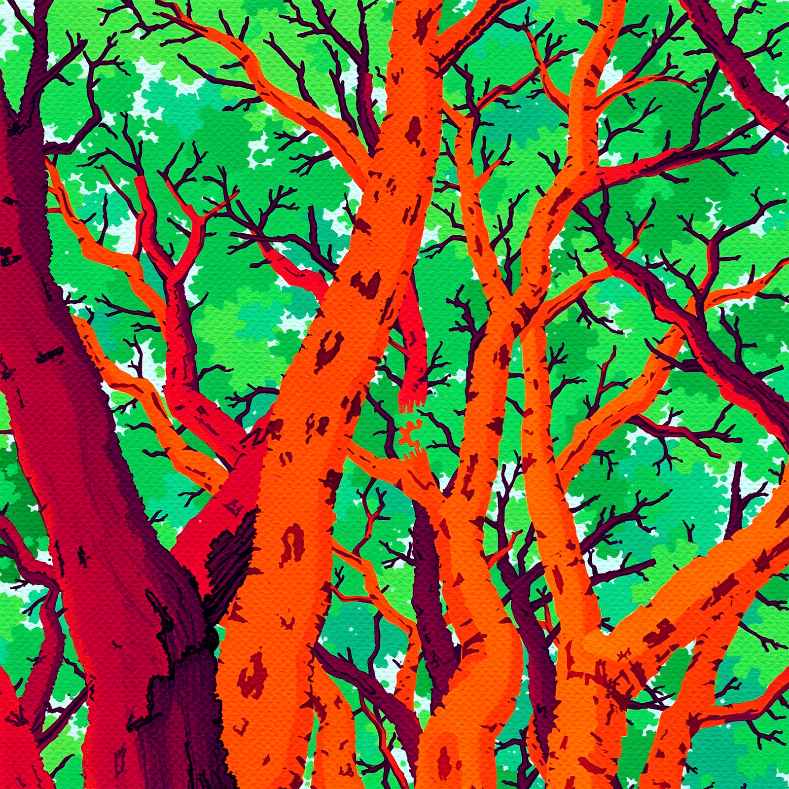 Vibrant Canopy Dreams view 2