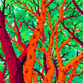 Vibrant Canopy Dreams thumbnail 2