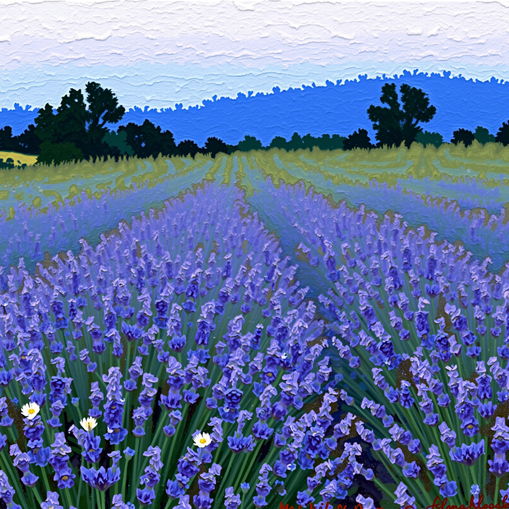 Fields of Lavender Dreams view 2