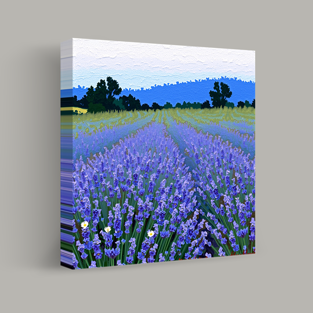 Fields of Lavender Dreams view 1