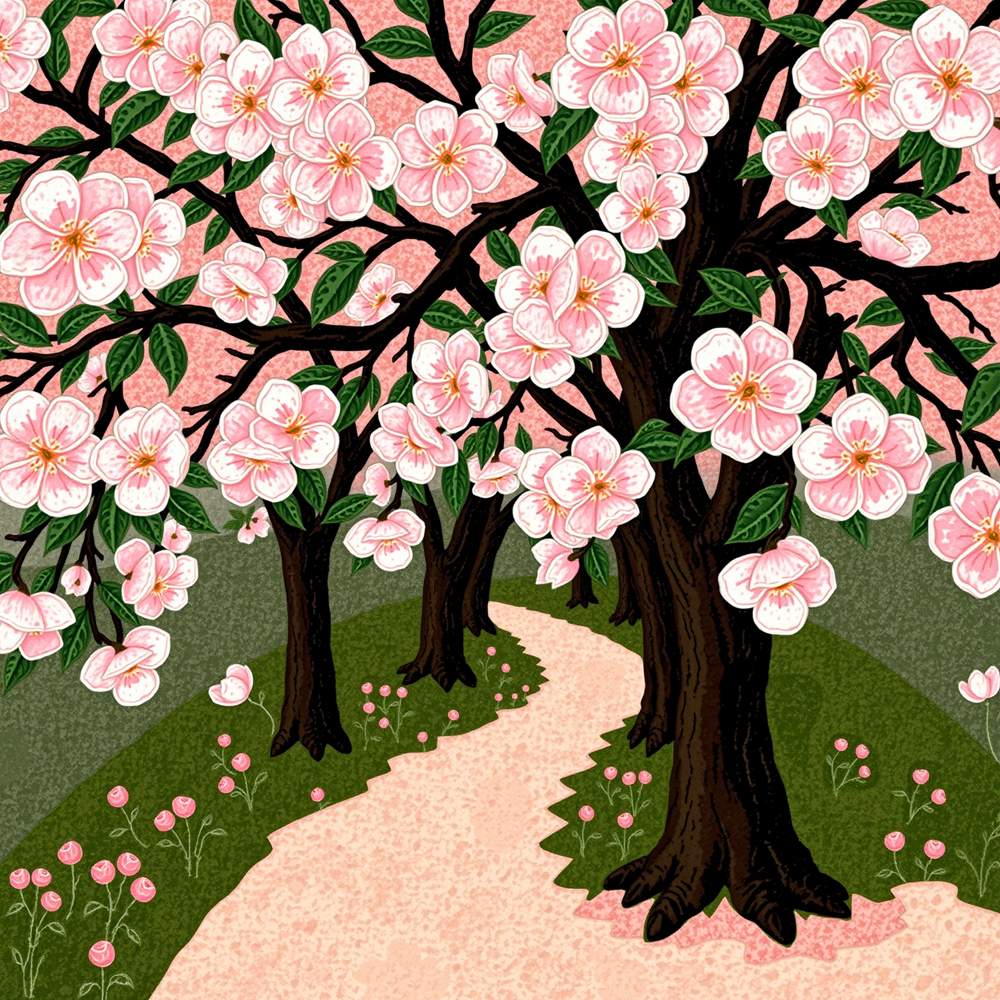 Blossoms Along the Pathway view 2