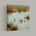 Reflections on a Still Wetland thumbnail 1