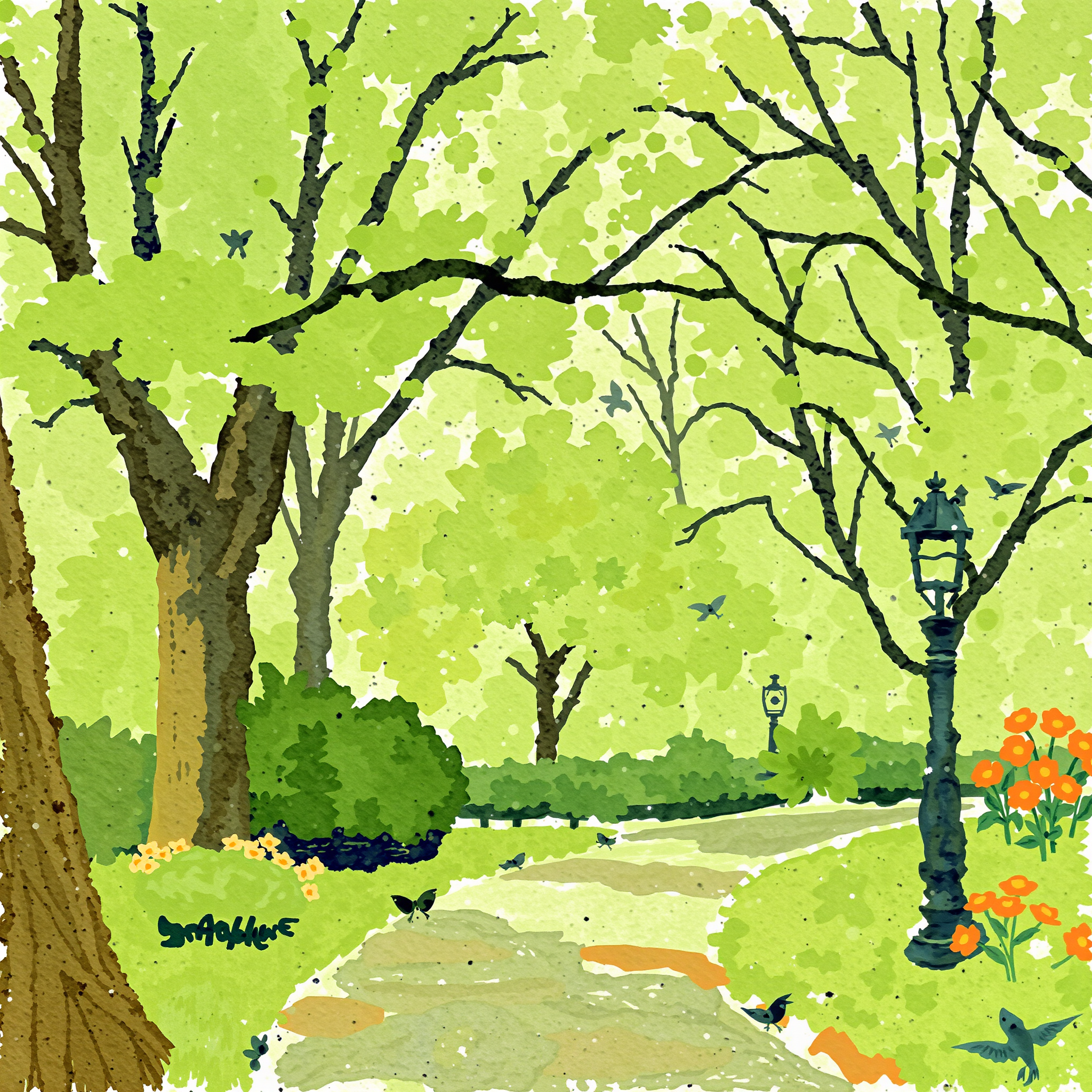 Stroll through the Grove view 2